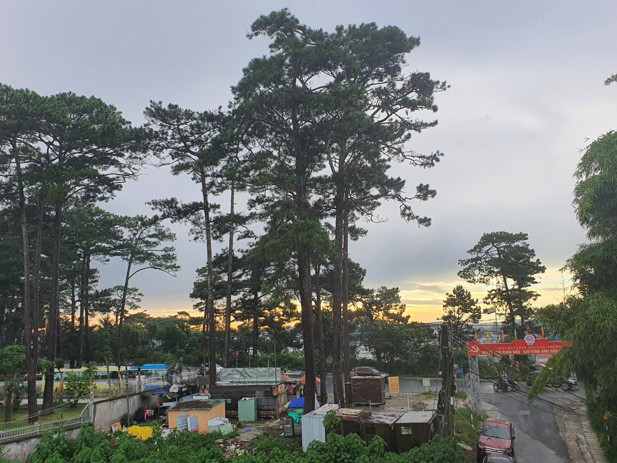 Duy Hotel 大叻 外观 照片