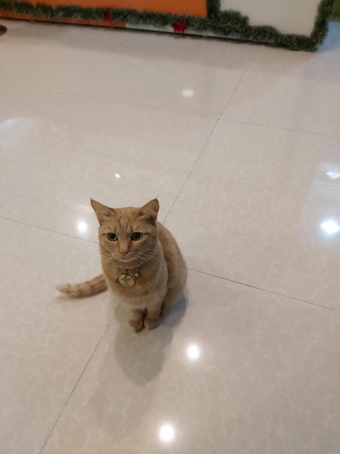 Duy Hotel 大叻 外观 照片